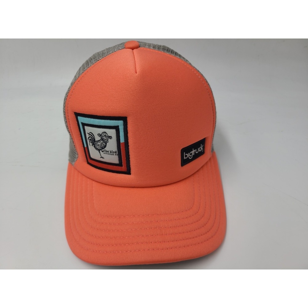 The Bird Jackson Hole Wyoming Bar & Girl Mesh Trucker Snapback Hat Cap Pink Gray